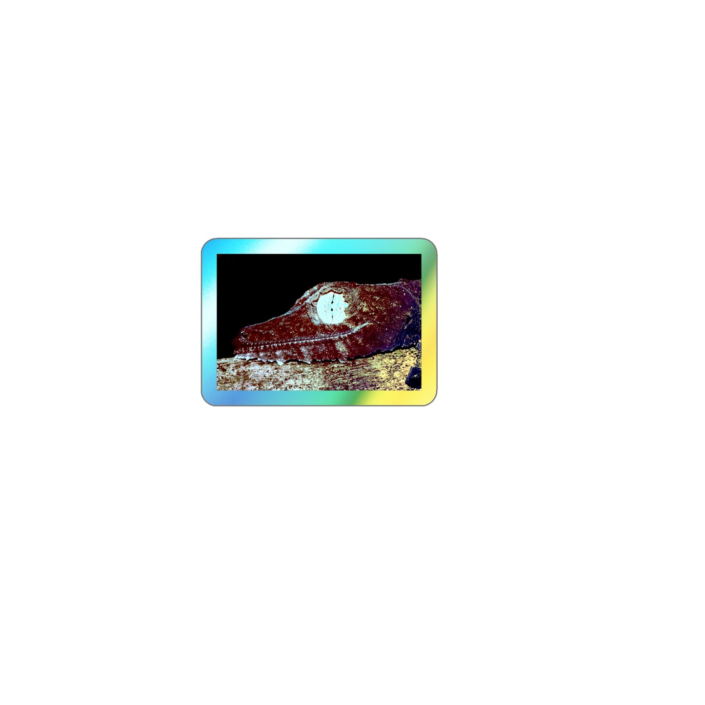 Holographic Uroplatus Slap